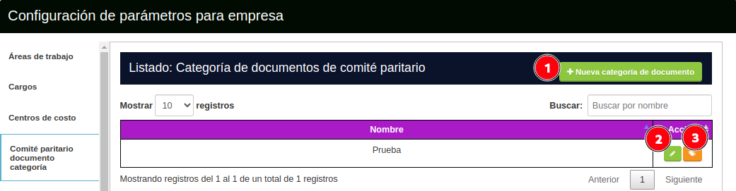 comité paritario documento categoría