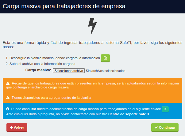 Carga masiva
