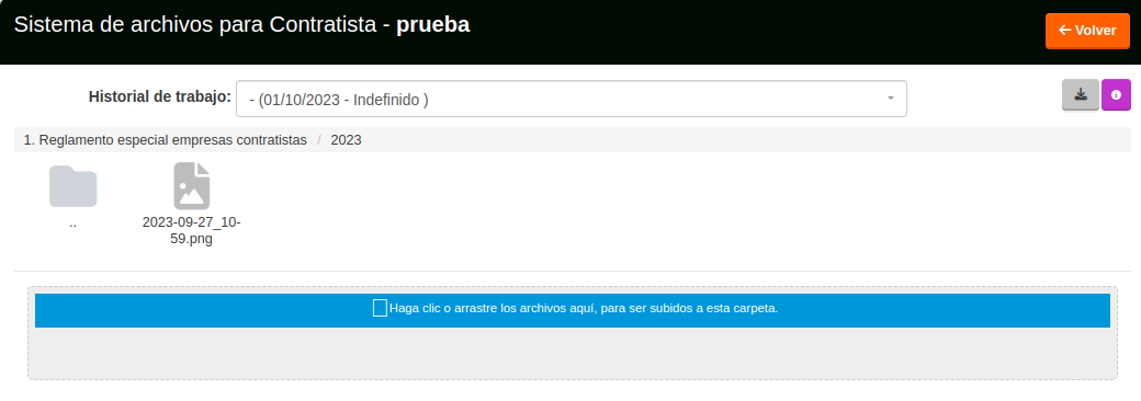 archivo subido